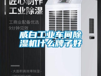 常见问题威白工业车间除湿机什么牌子好