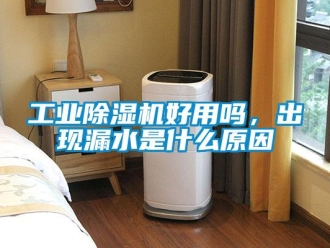 常见问题工业除湿机好用吗，出现漏水是什么原因