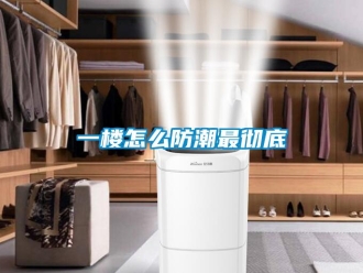 常见问题一楼怎么防潮最彻底