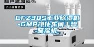 CFZ30S工业除湿机-GMP净化车间干燥吸湿机