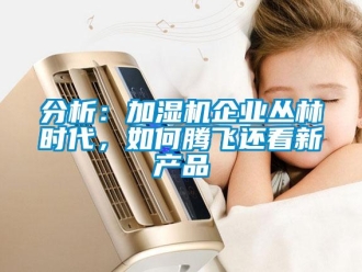 常见问题分析：加湿机企业丛林时代，如何腾飞还看新产品
