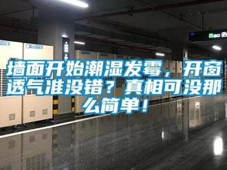行业新闻墙面开始潮湿发霉，开窗透气准没错？真相可没那么简单！