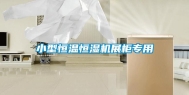 小型恒温恒湿机展柜专用