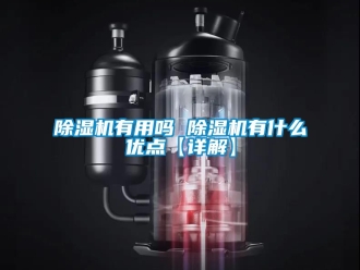 行业新闻除湿机有用吗 除湿机有什么优点【详解】