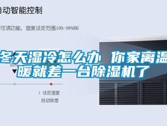 行业新闻冬天湿冷怎么办 你家离温暖就差一台除湿机了