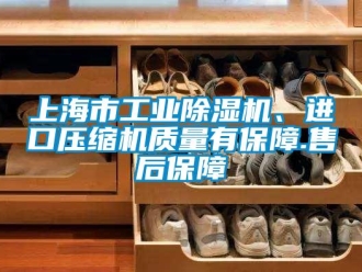 常见问题上海市工业除湿机、进口压缩机质量有保障.售后保障
