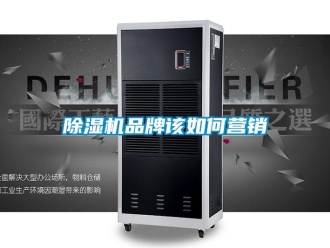 常见问题除湿机品牌该如何营销