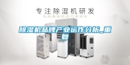 除湿机品牌产业运作分析_重复