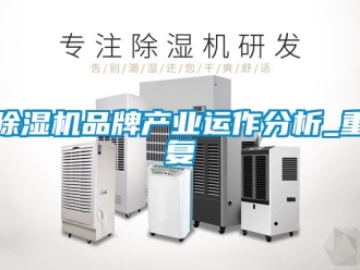 企业新闻除湿机品牌产业运作分析_重复