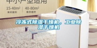 冷冻式除湿干燥机，工业除湿干燥机