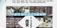 小型恒温恒湿试验箱图解