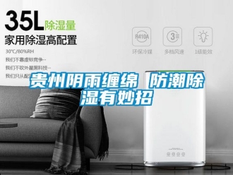 常见问题贵州阴雨缠绵 防潮除湿有妙招