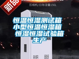 知识百科恒温恒湿测试箱 小型恒温恒湿箱 恒湿恒湿试验箱生产