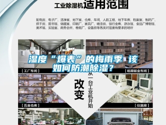 常见问题湿度“爆表”的梅雨季 该如何防潮除湿？