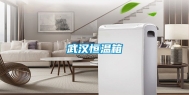 武汉恒温箱