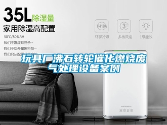 常见问题玩具厂沸石转轮催化燃烧废气处理设备案例