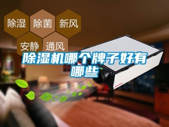 行业新闻除湿机哪个牌子好有哪些