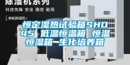 恒定湿热试验箱SHO45 低温恒温箱 恒温恒湿箱 生化培养箱