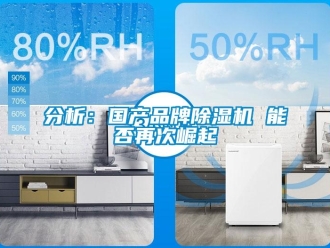 企业新闻分析：国产品牌除湿机 能否再次崛起