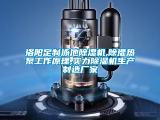 企业新闻洛阳定制泳池除湿机,除湿热泵工作原理,实力除湿机生产制造厂家