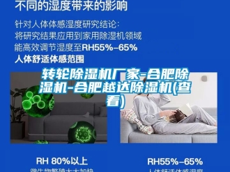 企业新闻转轮除湿机厂家-合肥除湿机-合肥越达除湿机(查看)