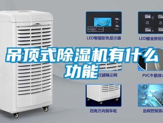 行业新闻吊顶式除湿机有什么功能