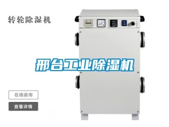 常见问题邢台工业除湿机