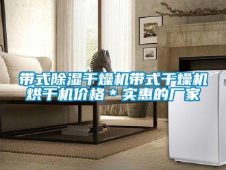 企业新闻带式除湿干燥机带式干燥机烘干机价格＊实惠的厂家