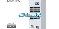 北海回南天