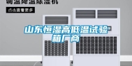 山东恒湿高低温试验箱厂商