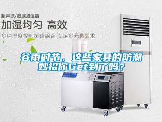 常见问题谷雨时节，这些家具的防潮妙招你Get到了吗？