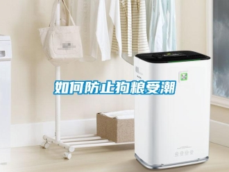 常见问题如何防止狗粮受潮