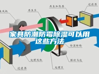 常见问题家具防潮防霉除湿可以用这些方法