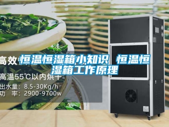 知识百科恒温恒湿箱小知识 恒温恒湿箱工作原理