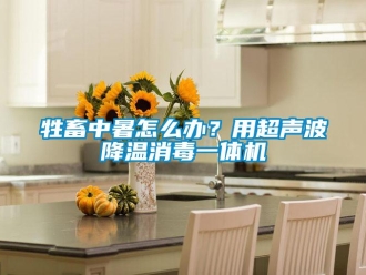 常见问题牲畜中暑怎么办？用超声波降温消毒一体机