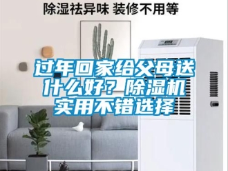 行业新闻过年回家给父母送什么好？除湿机实用不错选择
