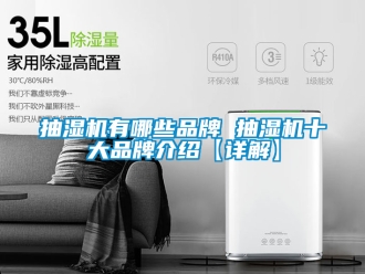 企业新闻抽湿机有哪些品牌 抽湿机十大品牌介绍【详解】