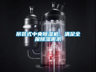 企业新闻吊装式中央除湿机，满足全屋除湿需求