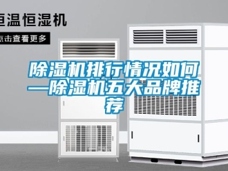 企业新闻除湿机排行情况如何—除湿机五大品牌推荐