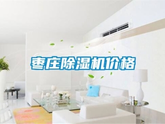 企业新闻枣庄除湿机价格