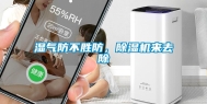 湿气防不胜防，除湿机来去除
