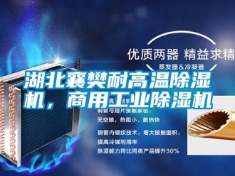 常见问题湖北襄樊耐高温除湿机，商用工业除湿机