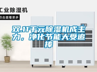 行业新闻双.11千元除湿机成主力，净化节能大受追捧