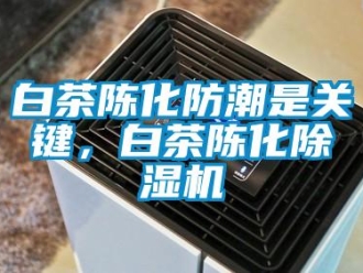常见问题白茶陈化防潮是关键，白茶陈化除湿机