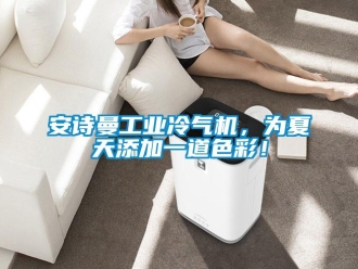 企业新闻安诗曼工业冷气机，为夏天添加一道色彩！