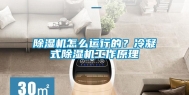 除湿机怎么运行的？冷凝式除湿机工作原理
