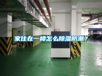 常见问题家住在一楼怎么除湿防潮？