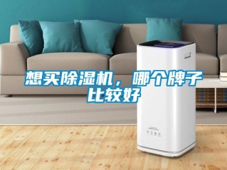行业新闻想买除湿机，哪个牌子比较好