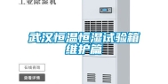 武汉恒温恒湿试验箱维护篇
