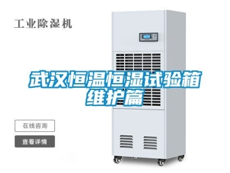 知识百科武汉恒温恒湿试验箱维护篇